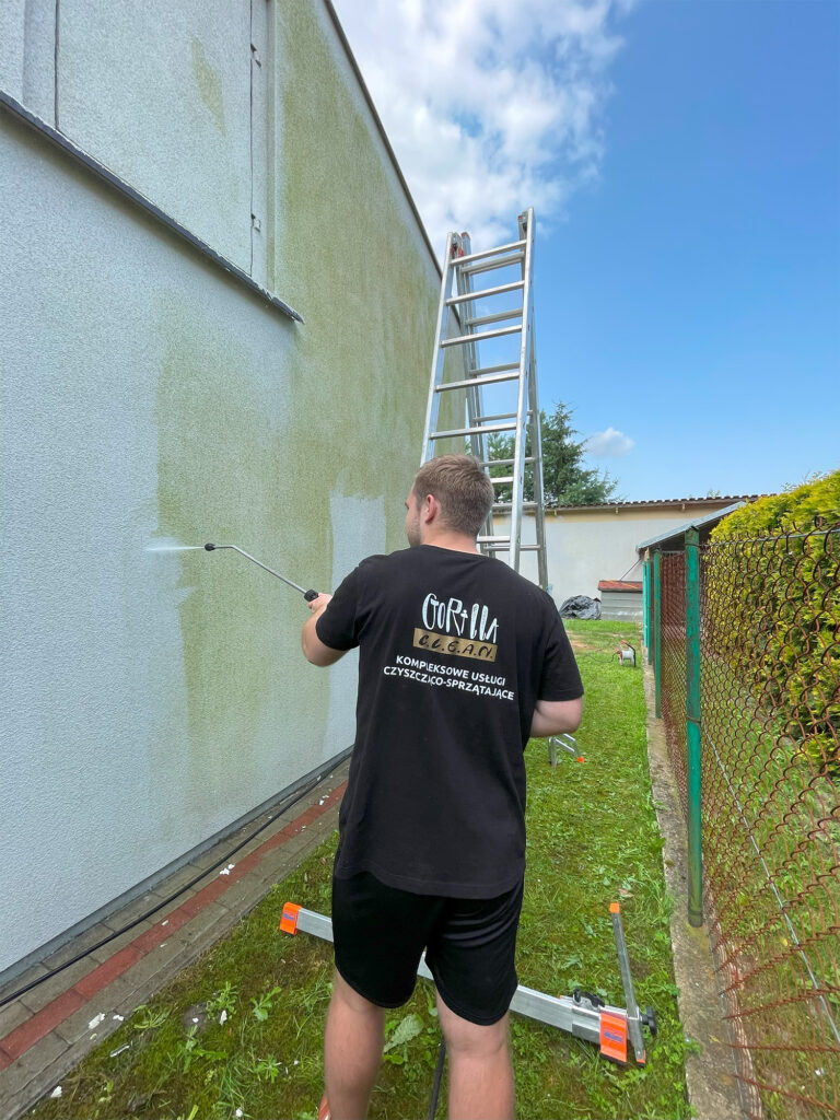 mycie elewacji budynku